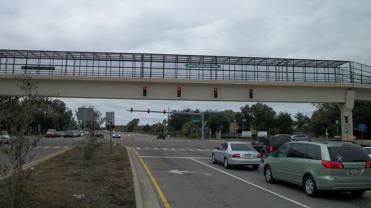 Water filtration in Citrus Park, FL