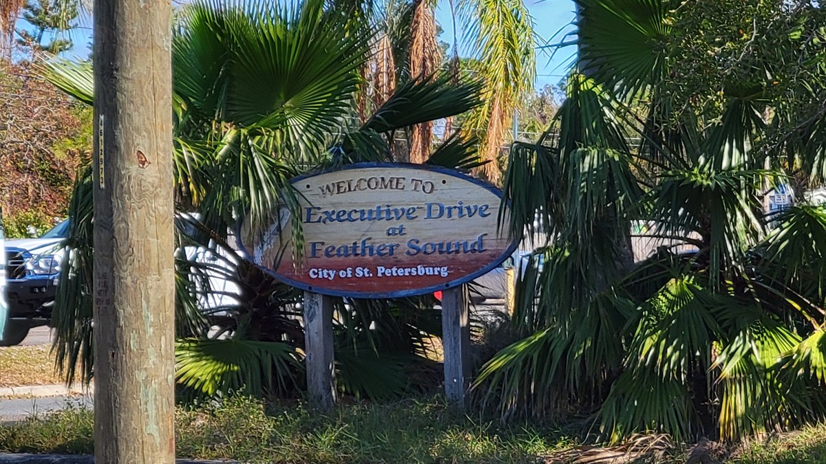 Water filtration in Feather Sound, FL