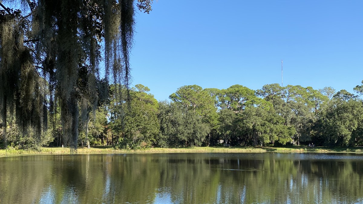 Water filtration in Seminole, FL